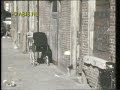 's Hertogenbosch
