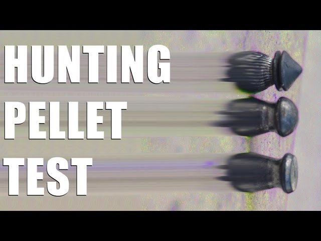 Fieldsports Britain - Rabbit shooting pellets and how to forage for food (episode 157)