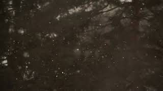 Snow Falling Video