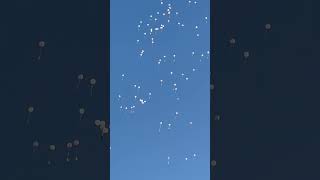 Almanya,Da Bir Düğünde Havaya Böyle Balonlar Bıraktılar. Nedir Bu Bilen Var Mı ?