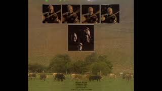 Fiddlin Around 1974 - Johnny Gimble