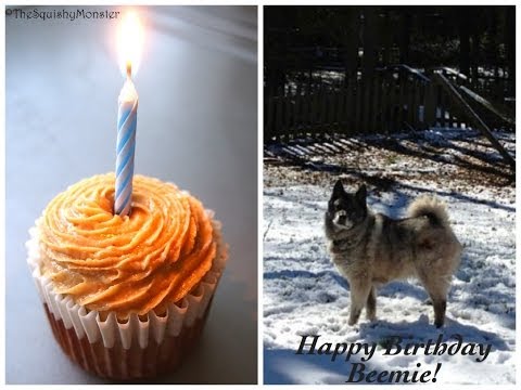 Video Simple Cake Recipe For Dogs