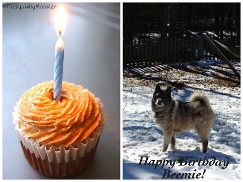 Photo Cake Ingredients For A Dog