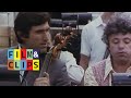 Il Merlo Maschio - Con Il Mitico Lando Buzzanca - Clip #1 by Film&Clips