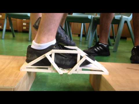 Dr. T Martin's Engineering Assesment: Balsa wood bridge.