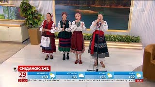 Фольк-Гурт Рожаниця Заспівав Карпатські Коломийки В Студії Сніданку