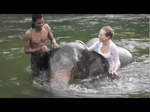 Bathing elephant in the Sumatran Jungle