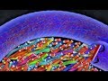 Slither.io 001 Strong Bad Snake Skin Hacked? vs. 001 Tiny Impossible Snake Epic Slitherio Gameplay!