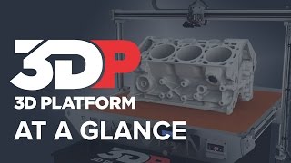 3D Platform At A Glance
