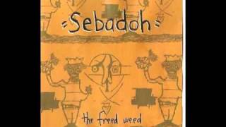 Watch Sebadoh I Believe In Fate video