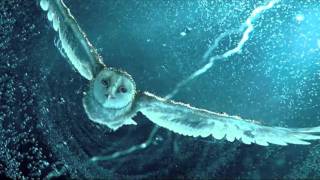 Watch Vargo The Moment video