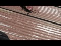 THE BUG OF EVIL! | Philippines Trip Part 6 THE BUG OF EVIL! | Philippines Trip Part 6