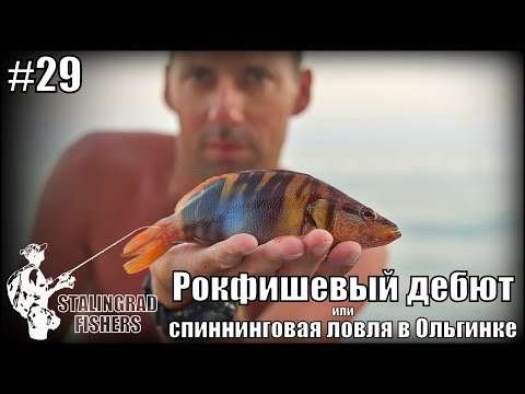 рокфишевая ловля рокфишевая ловля