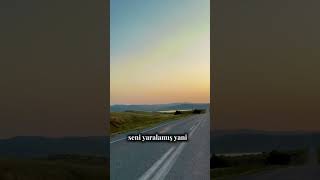 Sevme Seni Sevmeyeni Mısır A Sultan Olsa