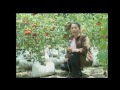 ตามทันเกษตร