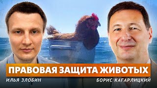 Скотный Двор (Илья Злобин, Борис Кагарлицкий)