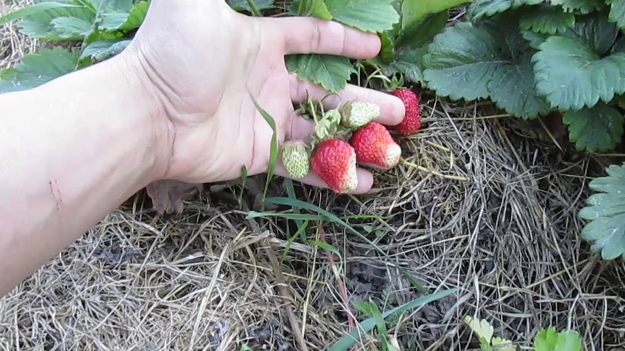 Вещи для ванной своими руками 41
