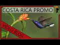 Bird Photography Workshop - Costa Rica (With Wildlife Photographer Glenn Bartley)