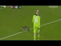 Cat invades Football pitch Liverpool vs Tottenham 6/02/12
