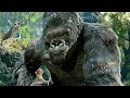 King Kong vs T-Rexes - Fight Scene - Movie CLIP [1080p 60 FPS HD]