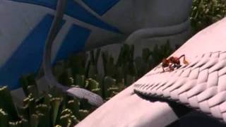 Bala And Z-4195.Wmv