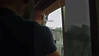 Andrew Tate Buys A Tiger