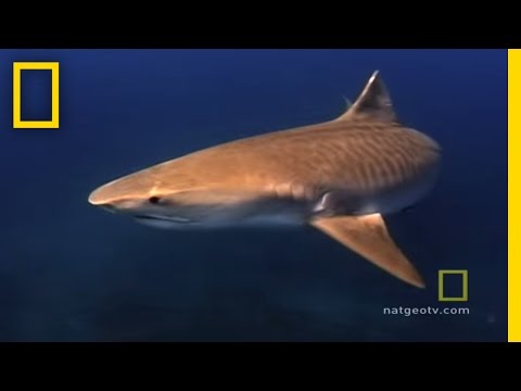 Exploring Oceans: Hawaii