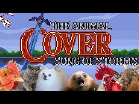 Song Of Storms (Animal Cover)