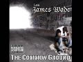 James Wade- Weatherman (1st single off THE COMMON GROUND)