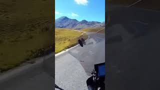 Motorcycle Touring The Umbrail P