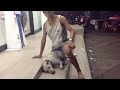 หีหมา