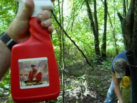 Making Your Own Deer Lure