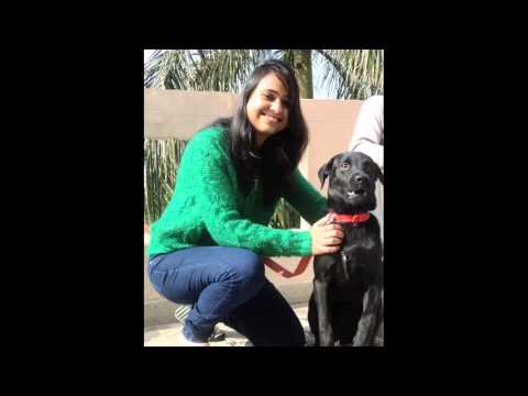 Tere Bin Main Dekhu Na Subah (Cover)