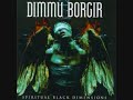 Dimmu Borgir - The Insight And The Catharsis (With Lyrics)