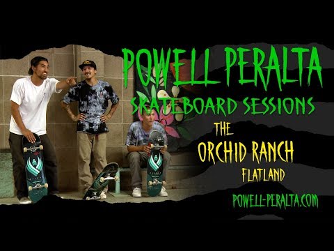 Powell Peralta Skateboard Sessions - Orchid Flat Land