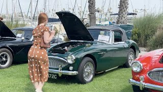 Austin White At The Car Show Caught Between Austin Healeys And Aston Martins