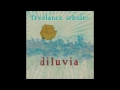 Freelance Whales - Diluvia - Full Album