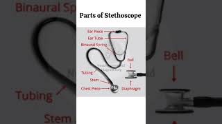 Parts Of Stethoscope
