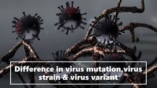 What is virus mutation | virus strain | virus variant