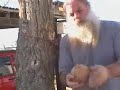Grandmaster Lacy coconut break