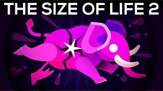 How To Make An Elephant Explode – The Size Of Life 2