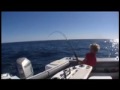 Zane Levett Kingfish Jigging