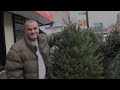 Smell that Pine: Clinton Hill's Christmas Tree Vendors Nuzzle their Needles