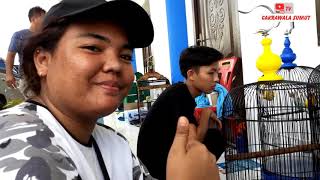 Download lagu Via Vallen Selow