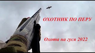 Охота на гуся 