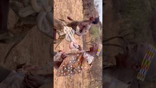 Hadzabe Ancient Lifestyle In The Forest