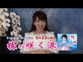 大沢桃子新曲案内/『椿の咲く港』