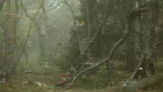 Watch Summoning Kor video