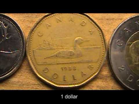 Canadian Coins. 0:25. Show 1 penny, 1 nickel, 1 dime, 1 quarter,1 dollar, 