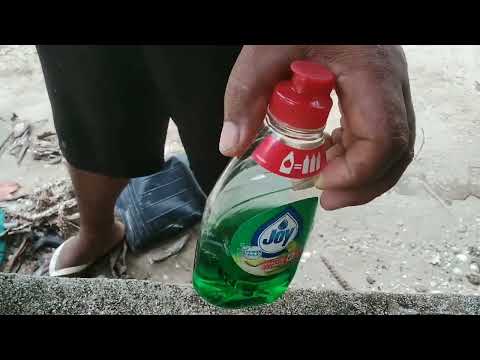 PAANO ANG BEST NA PAGPATAY NG MGA ANAY. JOY DISWASHING LIQUID,